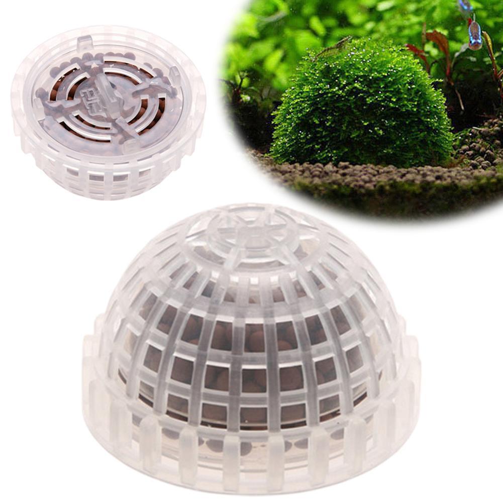 อุปกรณ์ตกแต่งตู้ปลา 1 ชิ้น ลูก - Aquarium Plant Echinodorus บทวิจารณ์และราคา