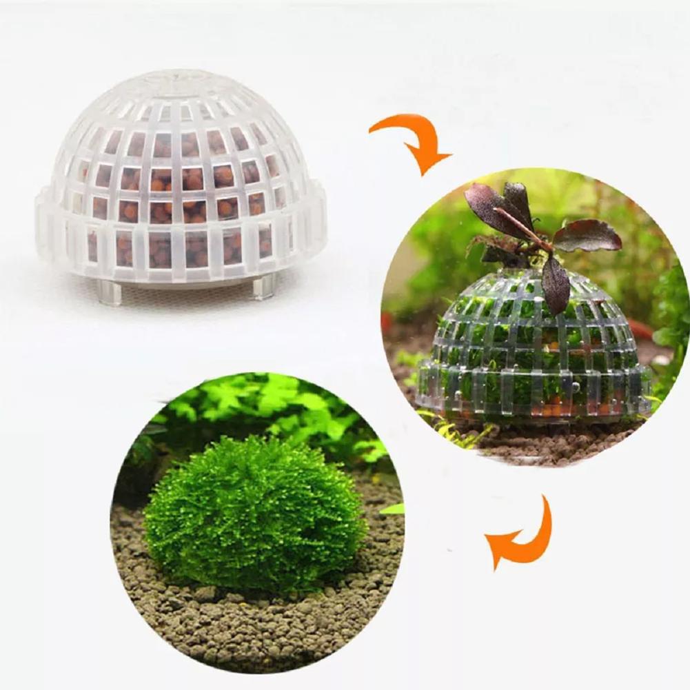 อุปกรณ์ตกแต่งตู้ปลา 1 ชิ้น ลูก - Aquarium Plant Echinodorus บทวิจารณ์และราคา
