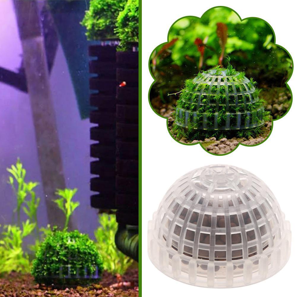 อุปกรณ์ตกแต่งตู้ปลา 1 ชิ้น ลูก - Aquarium Plant Echinodorus บทวิจารณ์และราคา