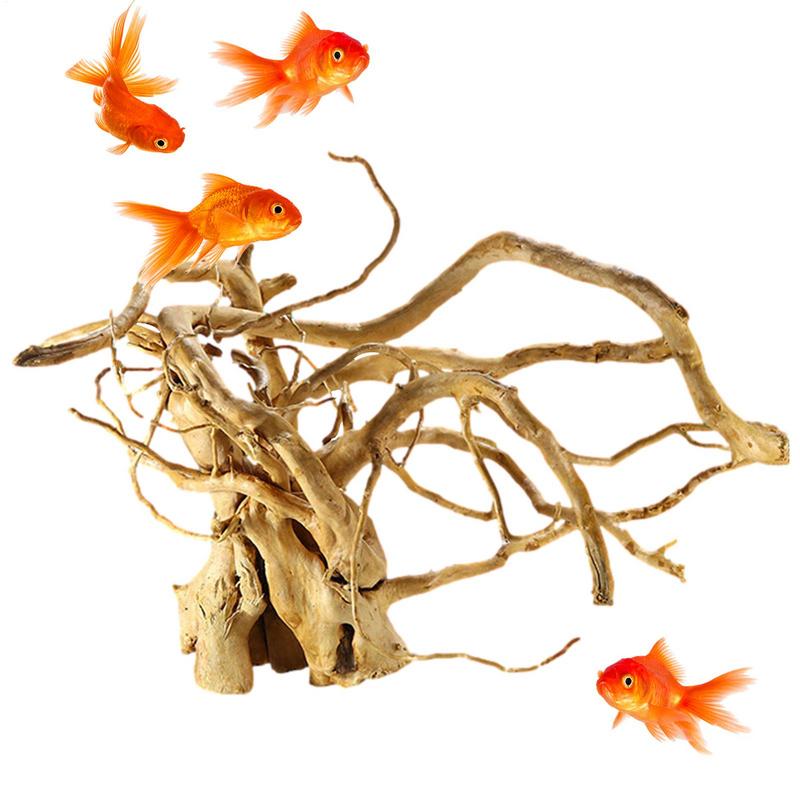 พิพิธภัณฑ์สัตว์น้ํา Driftwood  - Aquarium Plant Glue บทวิจารณ์และราคา