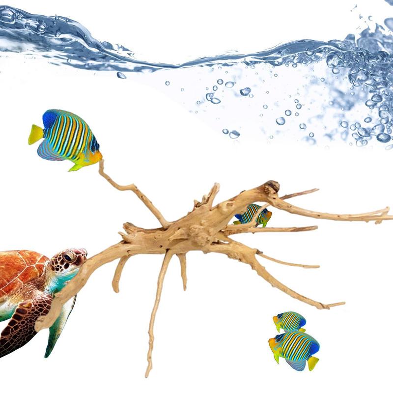 พิพิธภัณฑ์สัตว์น้ํา Driftwood  - Aquarium Plant Glue บทวิจารณ์และราคา