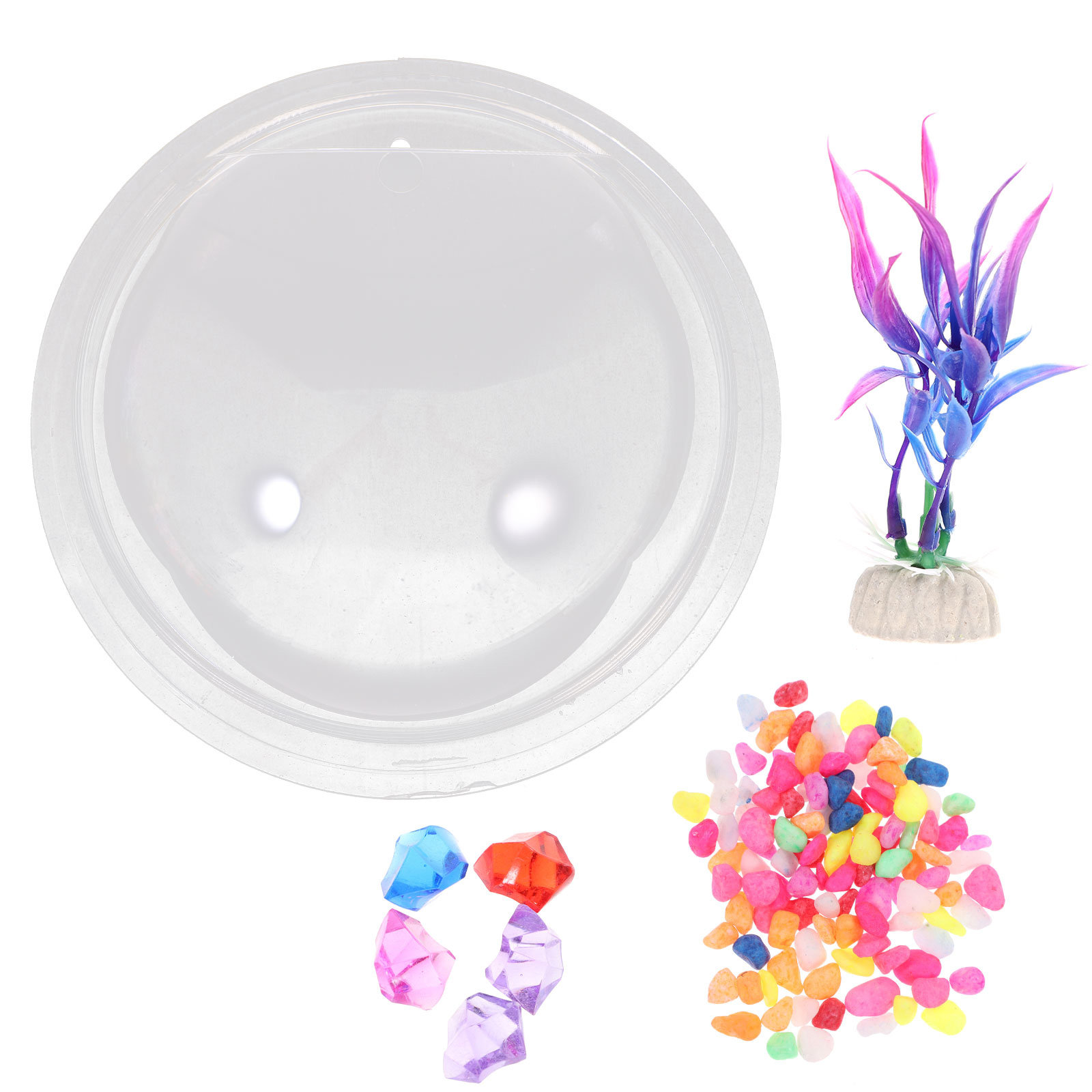 ตู้ปลาอะคริลิคติดผนัง โปร่งใส  - Planted Aquarium For Goldfish บทวิจารณ์และราคา
