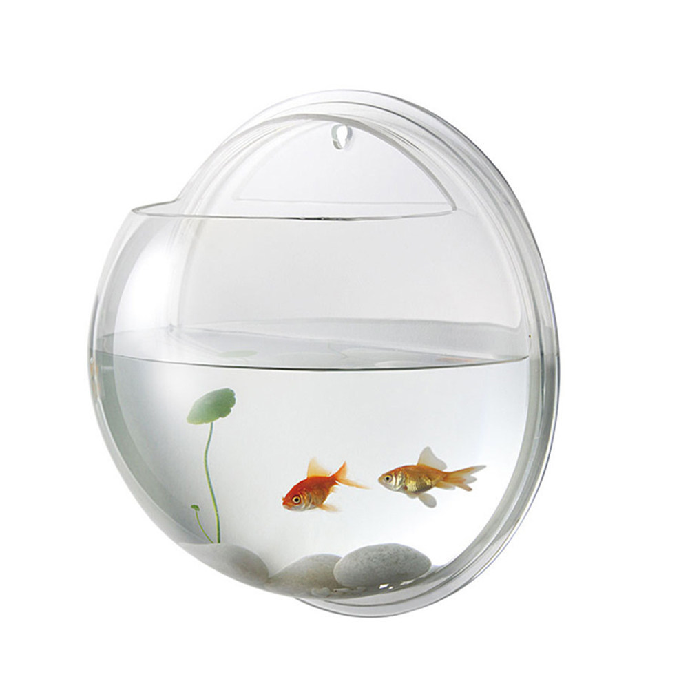 ตู้ปลาอะคริลิคติดผนัง โปร่งใส  - Planted Aquarium For Goldfish บทวิจารณ์และราคา
