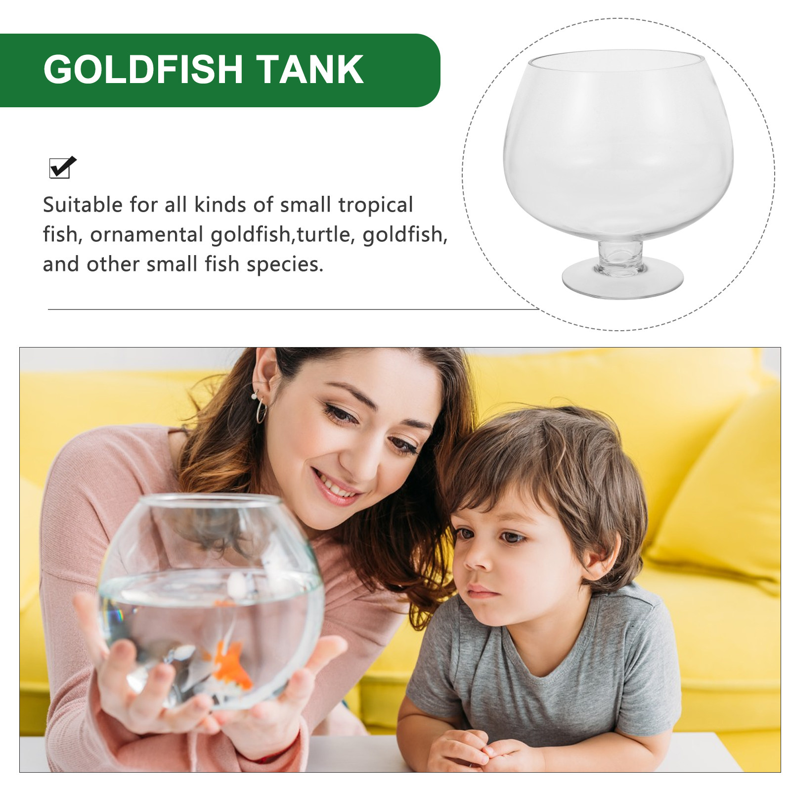 ตู้ปลาตั้งโต๊ะใสสำหรับเลี้ยงปล - Planted Aquarium For Goldfish บทวิจารณ์และราคา