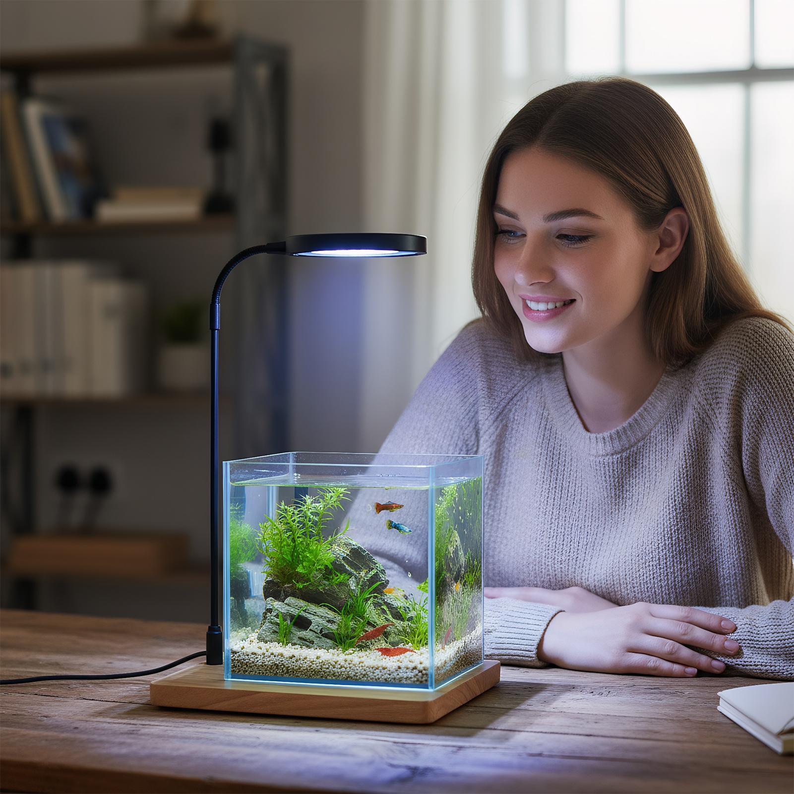 ไฟปลูกต้นไม้สำหรับปลูกในร่มพร้ - Aquarium Plant On Wood บทวิจารณ์และราคา